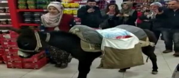 Poşet parası vermemek için markete eşekle geldi - Sputnik Türkiye