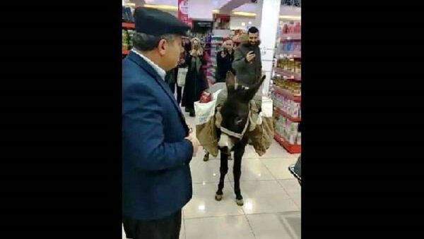 Halil Gün, market, eşek - Sputnik Türkiye