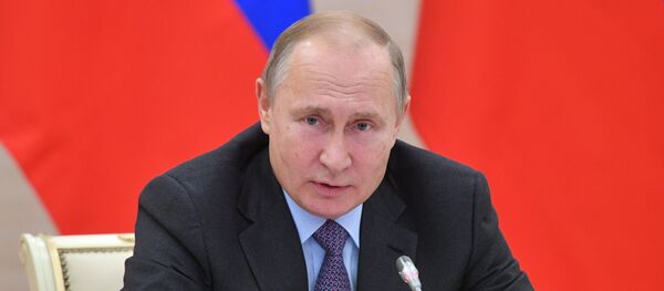 Rusya Devlet Başkanı Vladimir Putin - Sputnik Türkiye