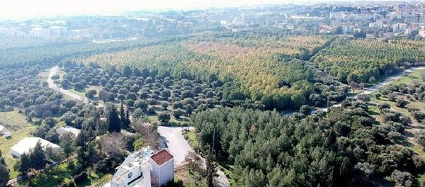 Ege Üniversitesi koruluğu Ege Üniversitesi koruluğu - Sputnik Türkiye