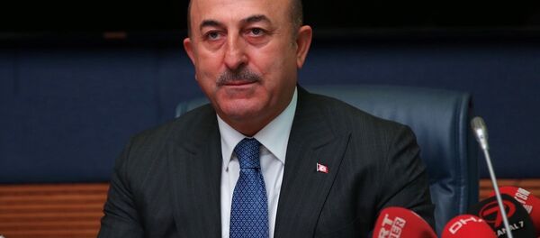 Dışişleri Bakanı Mevlüt Çavuşoğlu Dışişleri Bakanı Mevlüt Çavuşoğlu - Sputnik Türkiye
