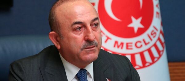 Dışişleri Bakanı Mevlüt Çavuşoğlu - Sputnik Türkiye