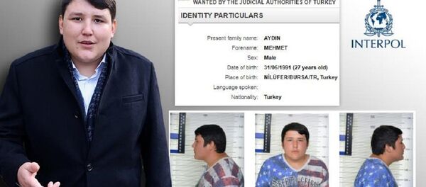 Mehmet Aydın, Interpol listesinde - Sputnik Türkiye