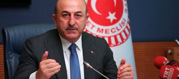 Mevlüt Çavuşoğlu - Sputnik Türkiye