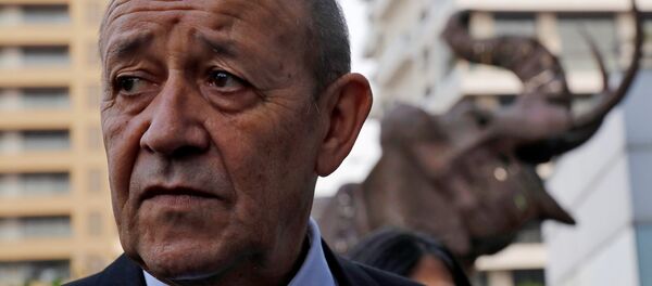 Fransa Dışişleri Bakanı Jean-Yves Le Drian - Sputnik Türkiye