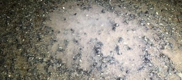 Sarıyer'de bir kamyon mahalleye kimyasal madde boşalttı iddiası: 'Adam buraya asit döktü, kaçtı gitti' - Sputnik Türkiye