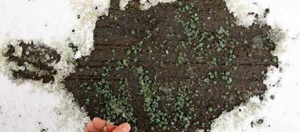 Buz Yak'la çözülen kar - Sputnik Türkiye