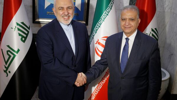 İran Dışişleri Bakanı Cevad Zarif ve Irak Dışişleri Bakanı Muhammed Ali Elhakim - Sputnik Türkiye
