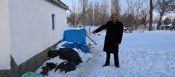 kendir-kanser ilacı - Sputnik Türkiye