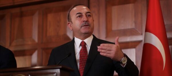 Dışişleri Bakanı Mevlüt Çavuşoğlu - Sputnik Türkiye