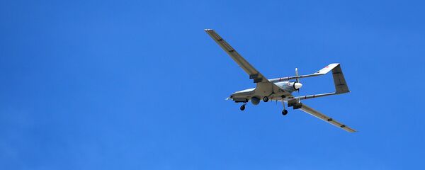 Bayraktar TB2 - Sputnik Türkiye