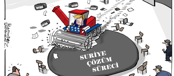 Karikatür - Sputnik Türkiye