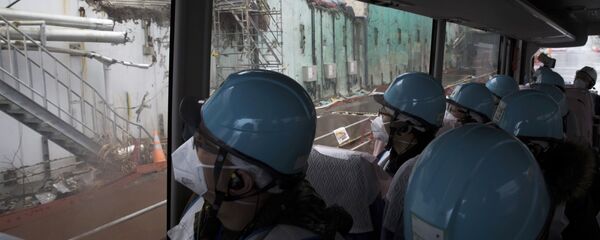 Fukuşima - Sputnik Türkiye