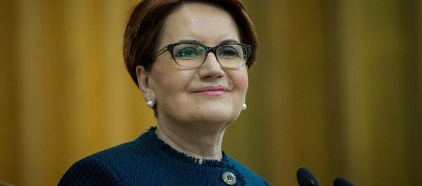 Meral Akşener - Sputnik Türkiye