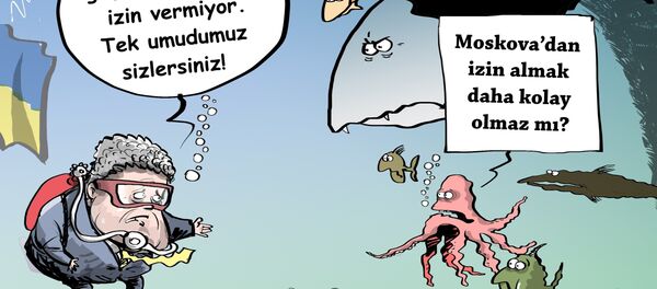 Karikatür - Sputnik Türkiye