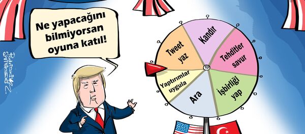 Karikatür - Sputnik Türkiye