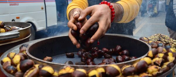 Kestane - Sputnik Türkiye