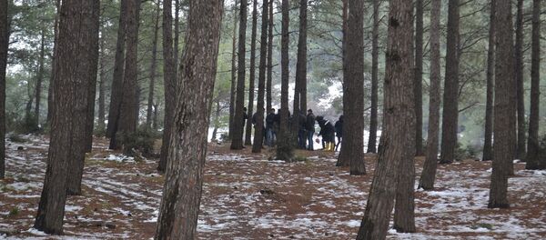 Edirne, Keşan, ormanlık alanda kesik kol bulundu - Sputnik Türkiye