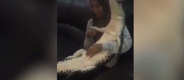 Azy Nadia Aziz - Sputnik Türkiye