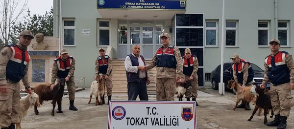 Tokat’ta açık cezaevinde hükümlü olan kişi ankesörlü telefonla aradığı şahsa kendini doktor olarak tanıttı, keçi isteyerek dolandırdı. - Sputnik Türkiye