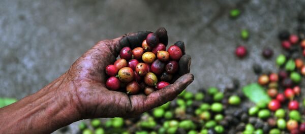 Kahve - Sputnik Türkiye