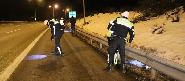 Bolu'da polis Anadolu Otoyolu'nda dur ihtarına uymayan otomobilden atılan uyuşturucu maddeleri el fenerleriyle aradı. - Sputnik Türkiye