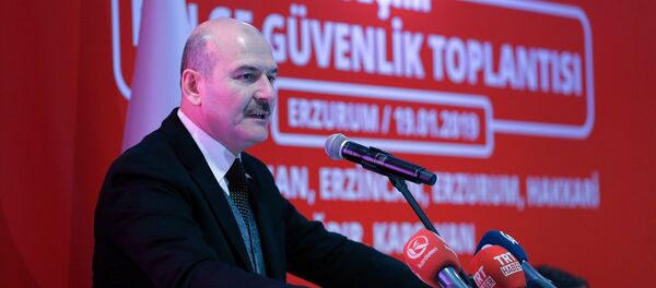 İçişleri Bakanı Süleyman Soylu - Sputnik Türkiye