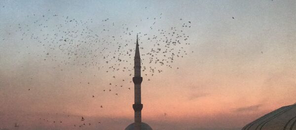 Şanlıurfa semalarına 'güvercin döküldü' - Sputnik Türkiye