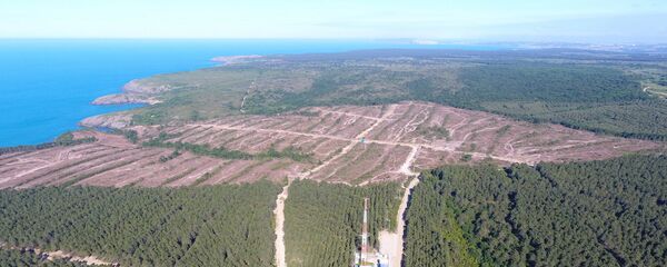Sinop - Nükleer santral - Sputnik Türkiye