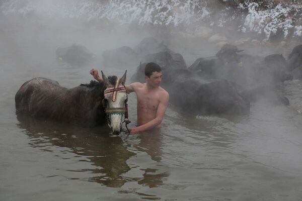 Dondurucu soğukta atlarıyla suya giren köylüler - Sputnik Türkiye