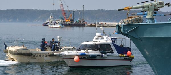 Japonya - balina avı - Sputnik Türkiye