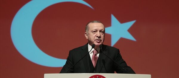 Recep Tayyip Erdoğan - Sputnik Türkiye