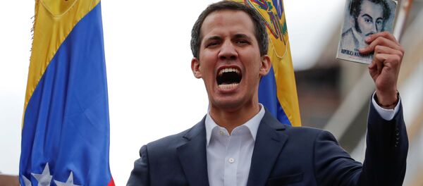 Marcos Perez Jimenez diktatörlüğünün sona ermesinin 61. yıldönümünde kendini 'devlet başkanı' ilan eden Juan Guaido, elinde Simon Bolivar'ın resminin olduğu Venezüella anayasasıyla - Sputnik Türkiye