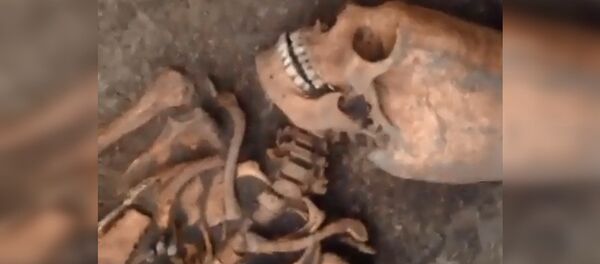 Rusya - kafatası - Sputnik Türkiye