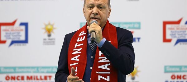 Cumhurbaşkanı Recep Tayyip Erdoğan - Sputnik Türkiye