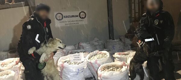 Erzurum- Uyuşturucu operasyonu - Sputnik Türkiye