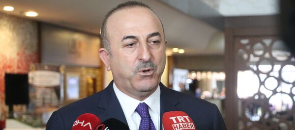 Dışişleri Bakanı Mevlüt Çavuşoğlu - Sputnik Türkiye