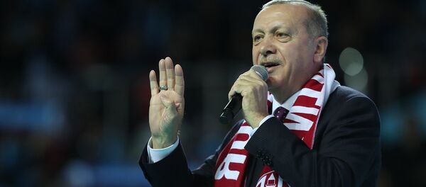Cumhurbaşkanı Recep Tayyip Erdoğan - Sputnik Türkiye