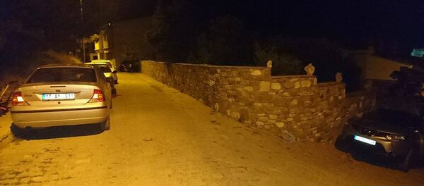 araç - Sputnik Türkiye