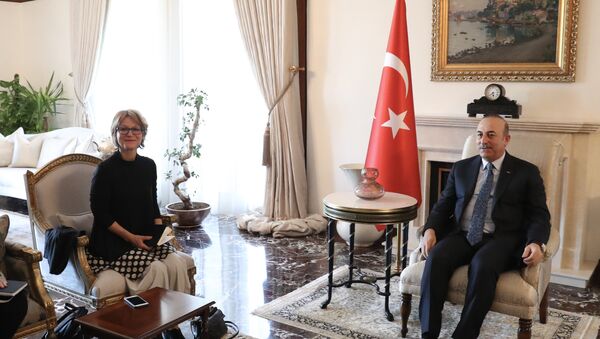 Dışişleri Bakanı Çavuşoğlu - BM raportörü Callamard - Sputnik Türkiye