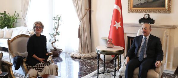 Dışişleri Bakanı Çavuşoğlu - BM raportörü Callamard - Sputnik Türkiye