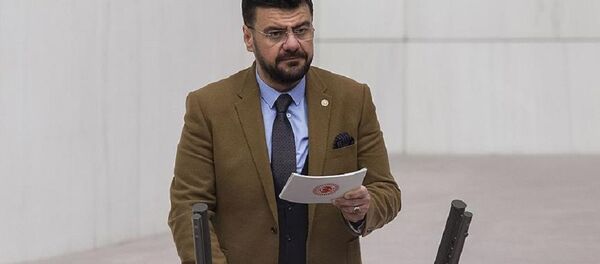 Tamer Akkal - Sputnik Türkiye