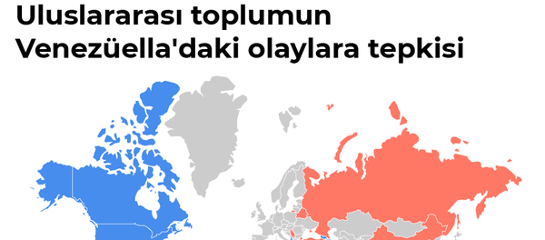 İnfografik - Sputnik Türkiye
