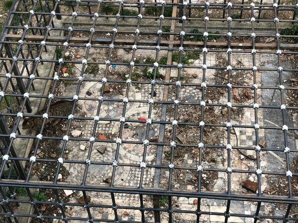 Şu anda bazı bölümleri mevcut tabi. Bazilikal yapılarda yüksek olan orta nef, sağlı sollu alçak olan 2 yan nef bulunur. Yüksek nefe açılmış pencerelerde mekan aydınlatılır. Apsis bölümü var, yani papazların bulunduğu bölüm, başpiskoposun oturduğu yer var. Aynı zamanda 'şapel' dediğimiz bazilikanın içinden girilen özel bölüm var, kutsal emanetlerin saklandığı yer olarak bilinir. Ve tabanında mermer mozaik bulunur. Kilisenin girişinde de taban mozaiği görülür. Ayasofya'nın tarihi ile taban mozaiklerin tarihi aynıdır. 1700 yıllıktır. - Sputnik Türkiye