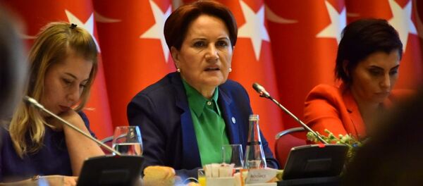 İYİ Parti Genel Başkanı Meral Akşener - Sputnik Türkiye