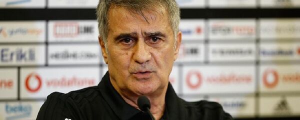 Şenol Güneş - Sputnik Türkiye