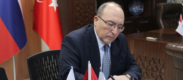 Kültür ve Turizm Bakan Yardımcısı Ahmet Haluk Dursun - Sputnik Türkiye