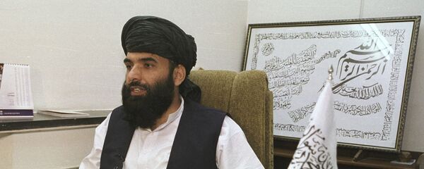 Taliban'ın Katar'daki Sözcüsü Süheyl Şahin - Sputnik Türkiye