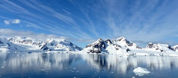 Kanada'da buzulların altından 40 bin yıllık bitki fosilleri çıktı - Sputnik Türkiye