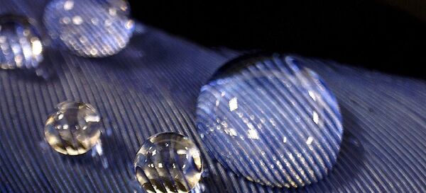 Su damlaları - Sputnik Türkiye